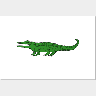 Alligator Posters and Art
